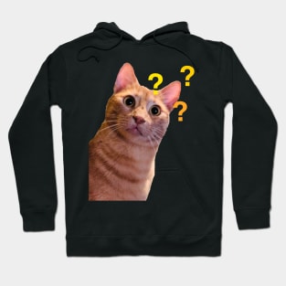 Cat Says What Hoodie